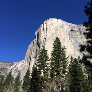 Yosemite_Feb_2015-_-_191.jpg