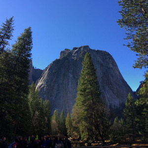 Yosemite_Feb_2015-_-_198.jpg
