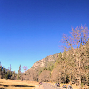 Yosemite_Feb_2015-_-_200.jpg