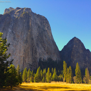 Yosemite_Feb_2015-_-_201.jpg